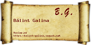 Bálint Galina névjegykártya