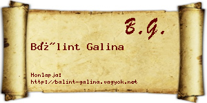 Bálint Galina névjegykártya